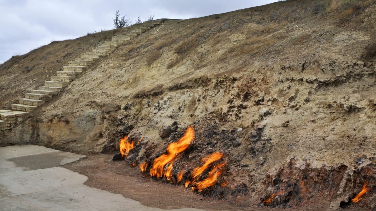 Yanar dagh immortal flame