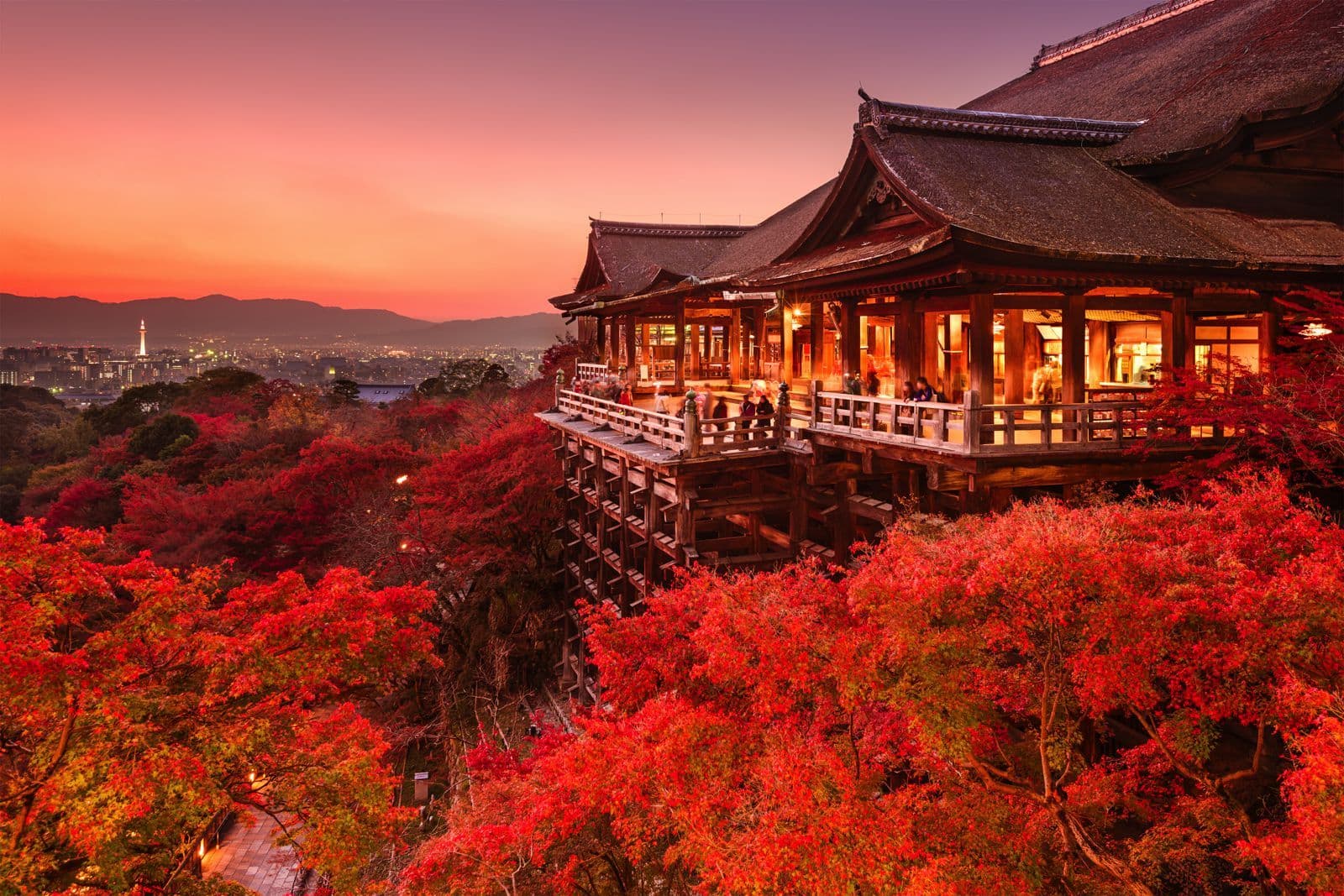 Trip Jepang: Golden Route Autumn Edition | FAO TOUR AND TRAVEL