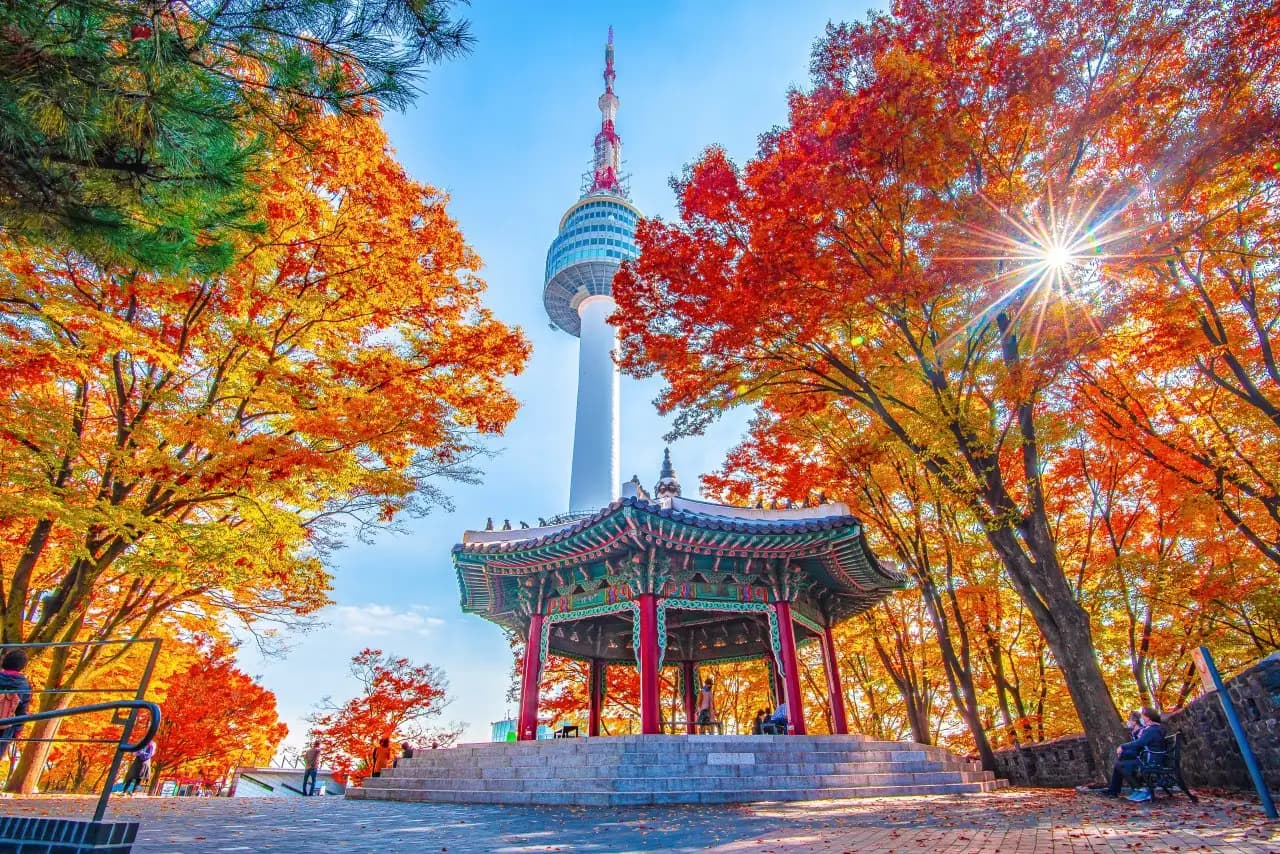 South Korea Autumn: Seoul - Nami Island - Mt. Sorak - 1 Free day! | FAO TOUR AND TRAVEL